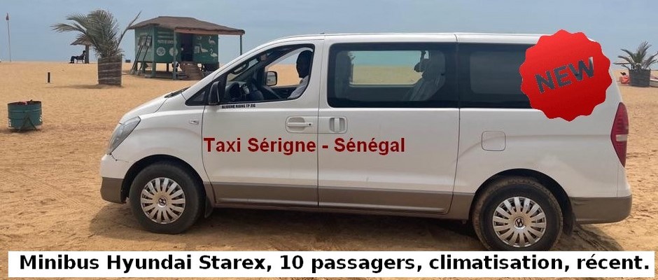 Minibus 11 places (10 places pour les passagers)