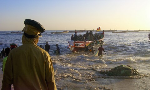 Porteur de poissons dans un port de pêche au Sénégal