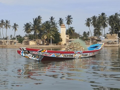 ile aux oiseaux ile aux oiseaux siné saloum